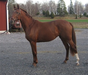 Roxy 091121