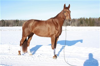 Roxy 110209
