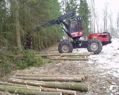 Sködare gallrar skog