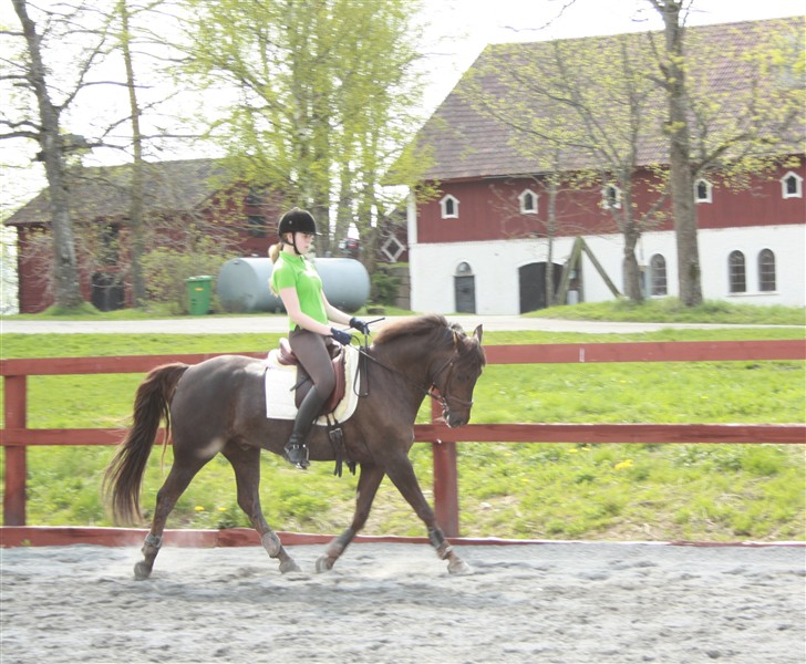 Wilma & Darren 23/5-10